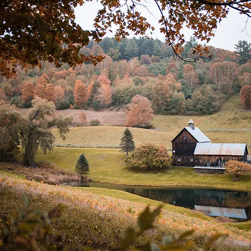 House in field